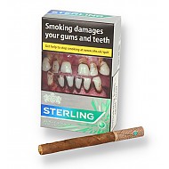 Sterling Dual Leaf Wrapped Sterling Dual Leaf Wrapped